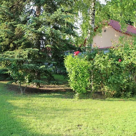 Evelin Nyaralohaz شيوفوك